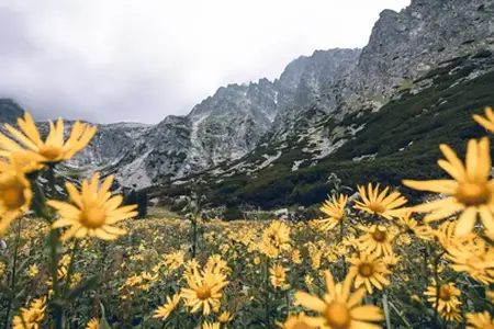 Slovenská diaľničná známka: Cesta k cestovným možnostiam
