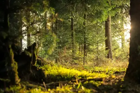 Słoweńskie doświadczenia dla podróżujących samochodem