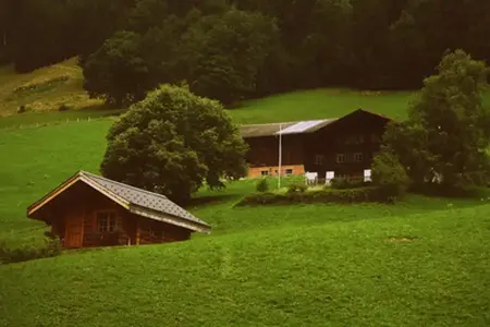 Šveicarijos vinjetės pirkimas